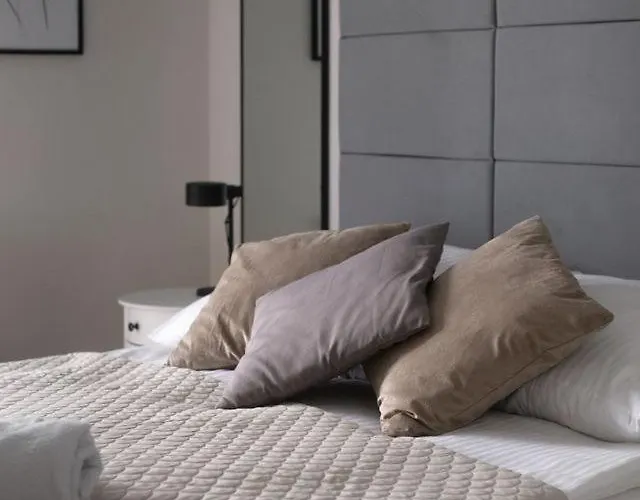 Avocado Kudowa Zdroj